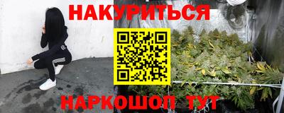 гашик Малгобек
