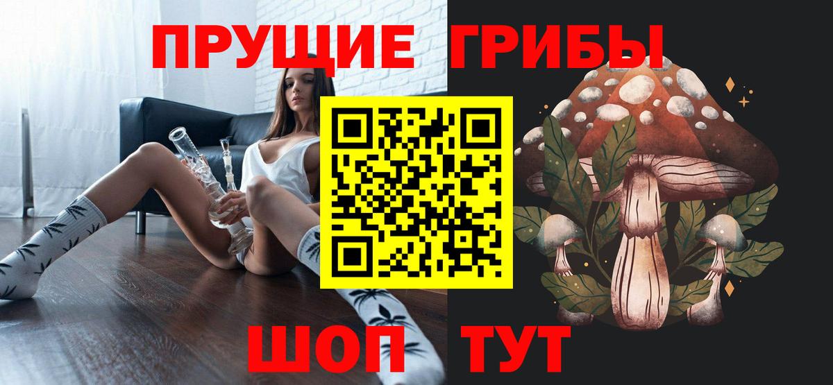 Псилоцибиновые грибы мицелий Курган